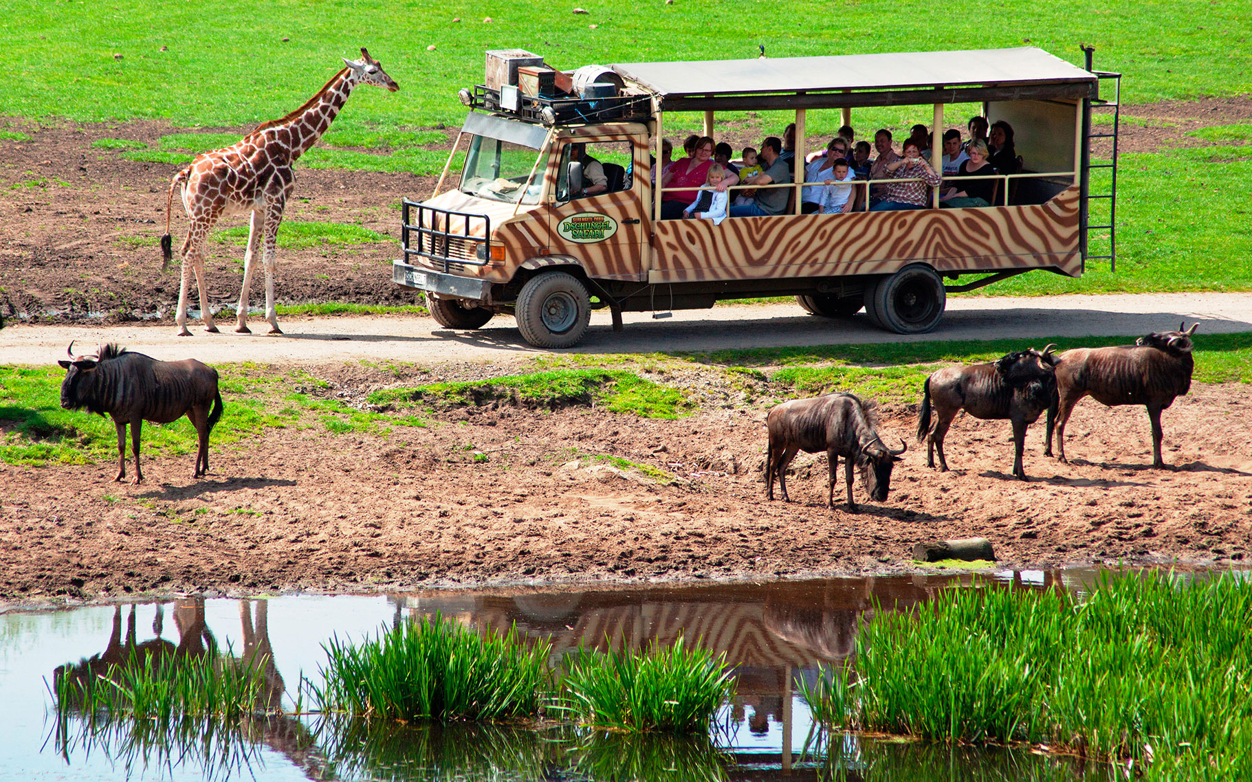 serengeti1